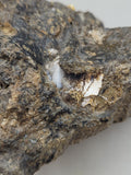 Canadian Opal In Matrix~ Burns Lake, B.C.