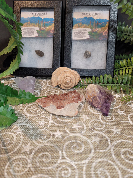 16490 October 24th 2025 Live