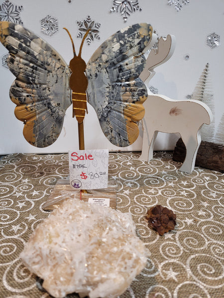 16751 February 26th 2025 Live