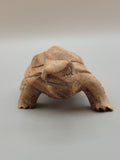 Turtle Teak Wood Carving ❤️