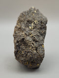 Canadian Chalcopyrite~ Tofino, B.C.