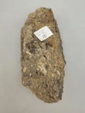 Canadian Opal In Matrix~ Burns Lake, B.C.