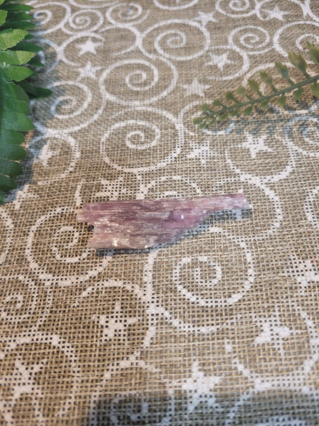 Spiritualish November 1st 2025 Live