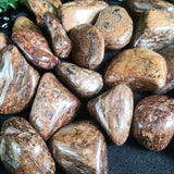 Bronzite Tumbled