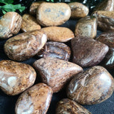 Bronzite Tumbled