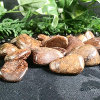 Bronzite Tumbled