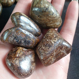 Bronzite Tumbled