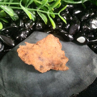 Whitecourt Meteorite (20.9 g)
