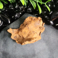 Whitecourt Meteorite (20.9 g)