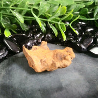 Whitecourt Meteorite (20.9 g)