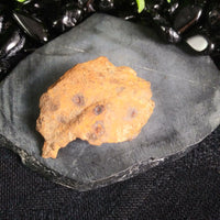 Whitecourt Meteorite (20.9 g)
