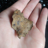 Whitecourt Meteorite (20.9 g)