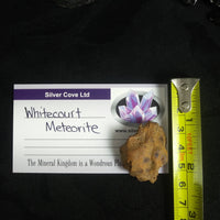 Whitecourt Meteorite (20.9 g)