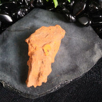 Whitecourt Meteorite (20.5 g)