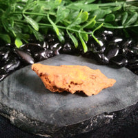 Whitecourt Meteorite (20.5 g)