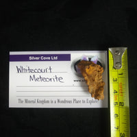 Whitecourt Meteorite (20.5 g)