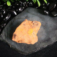 Whitecourt Meteorite (22.6 g)