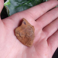 Whitecourt Meteorite (22.6 g)