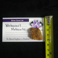 Whitecourt Meteorite (22.6 g)