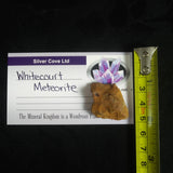 Whitecourt Meteorite (22.6 g)