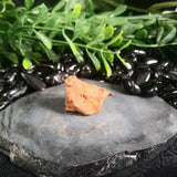 Whitecourt Meteorite (12.0 g)