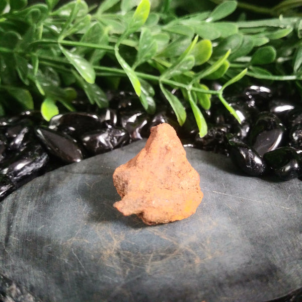 Whitecourt Meteorite (12.0 g)