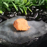 Whitecourt Meteorite (12.0 g)