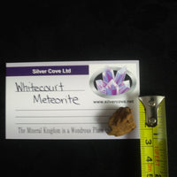 Whitecourt Meteorite (12.0 g)
