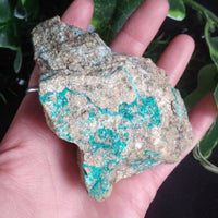 Dioptase & Apophyllite (186 g)
