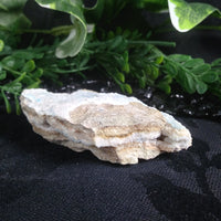 Kinoite (117 g)