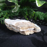 Kinoite (117 g)