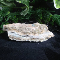Kinoite (117 g)