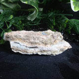 Kinoite (117 g)