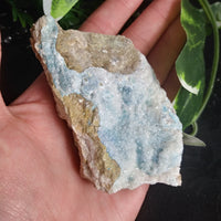 Kinoite (117 g)