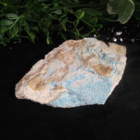 Kinoite (176 g)