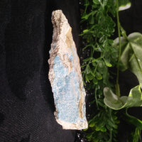 Kinoite (176 g)