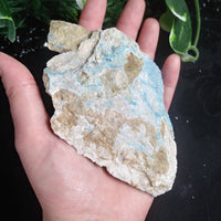 Kinoite (176 g)