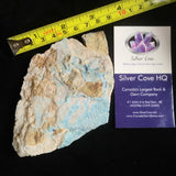 Kinoite (176 g)