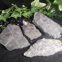Fern Fossils in Matrix (Various)