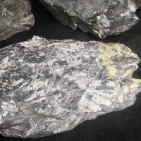 Fern Fossils in Matrix (Various)