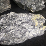Fern Fossils in Matrix (Various)