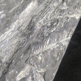 Fern Fossils in Matrix (Various)