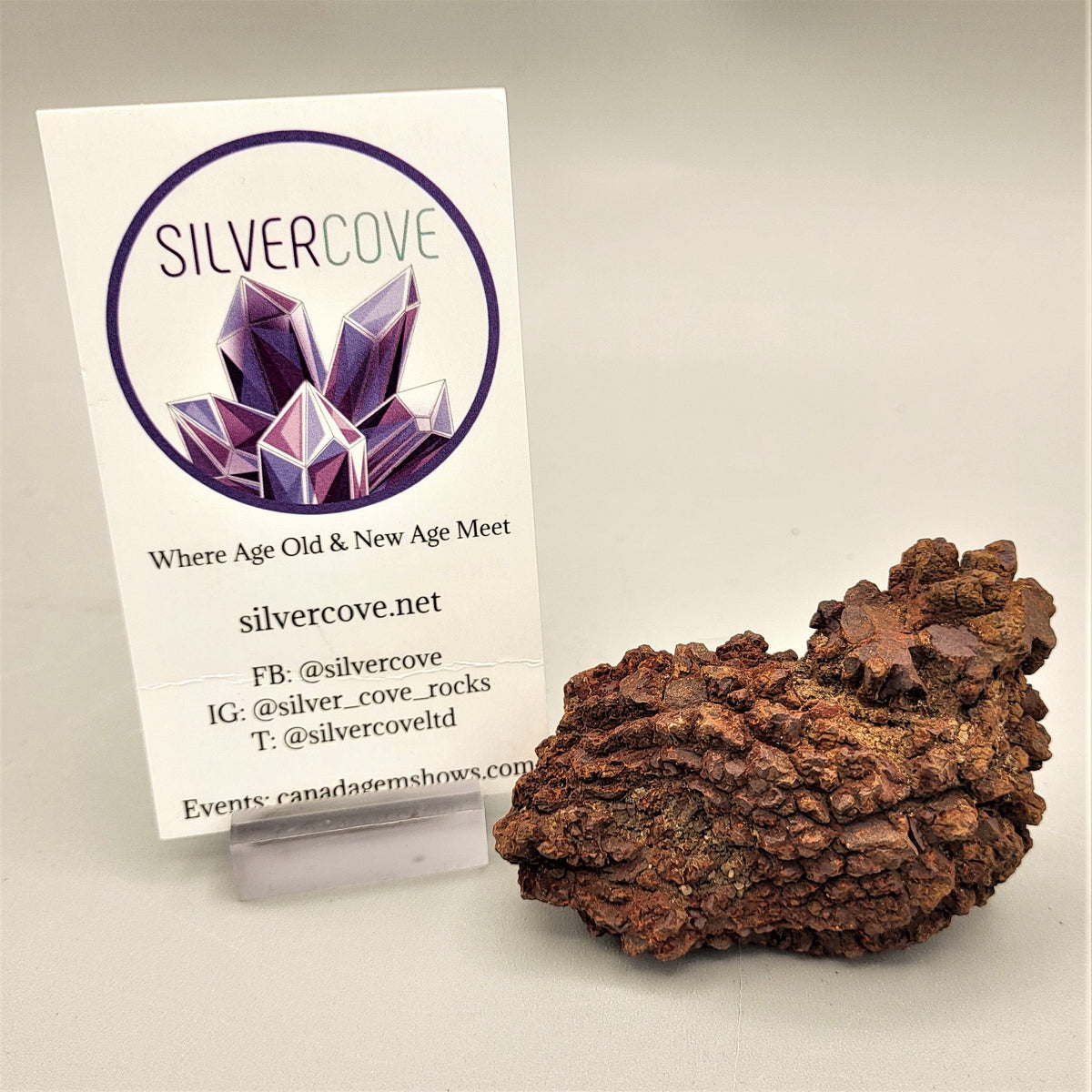 Coprolite Specimen – Silver Cove Ltd