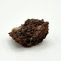 Brookite & Magnetite Raw Stone