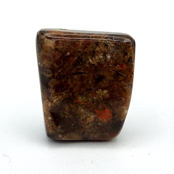 Free Form Ammolite Cabochons