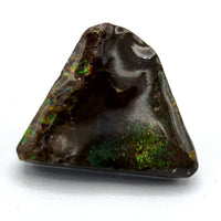 Free Form Ammolite Cabochons