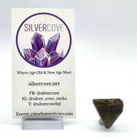 Free Form Ammolite Cabochons