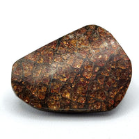 Free Form Ammolite Cabochons