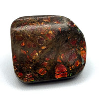 Free Form Ammolite Cabochons