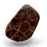 Free Form Ammolite Cabochons